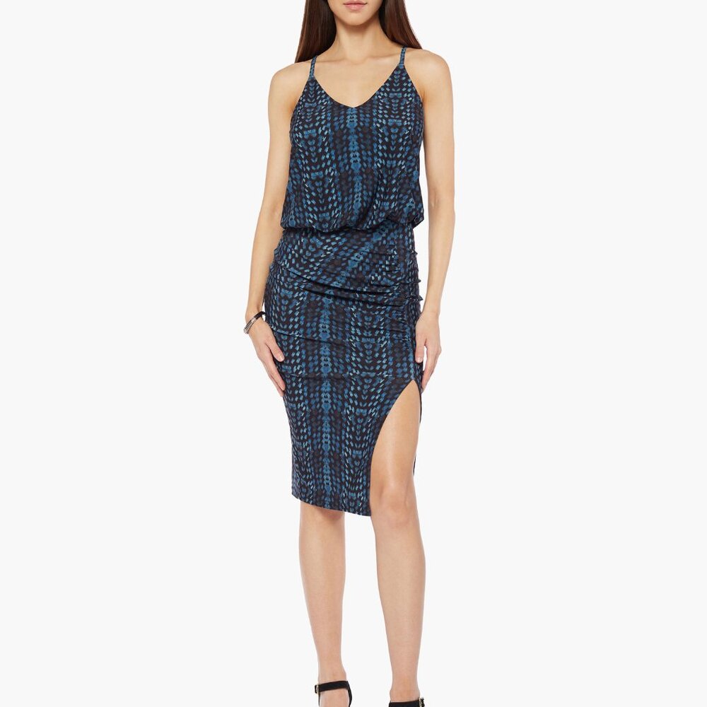 New with Tags Deborah Viereck Remedy in Liter Dress XS